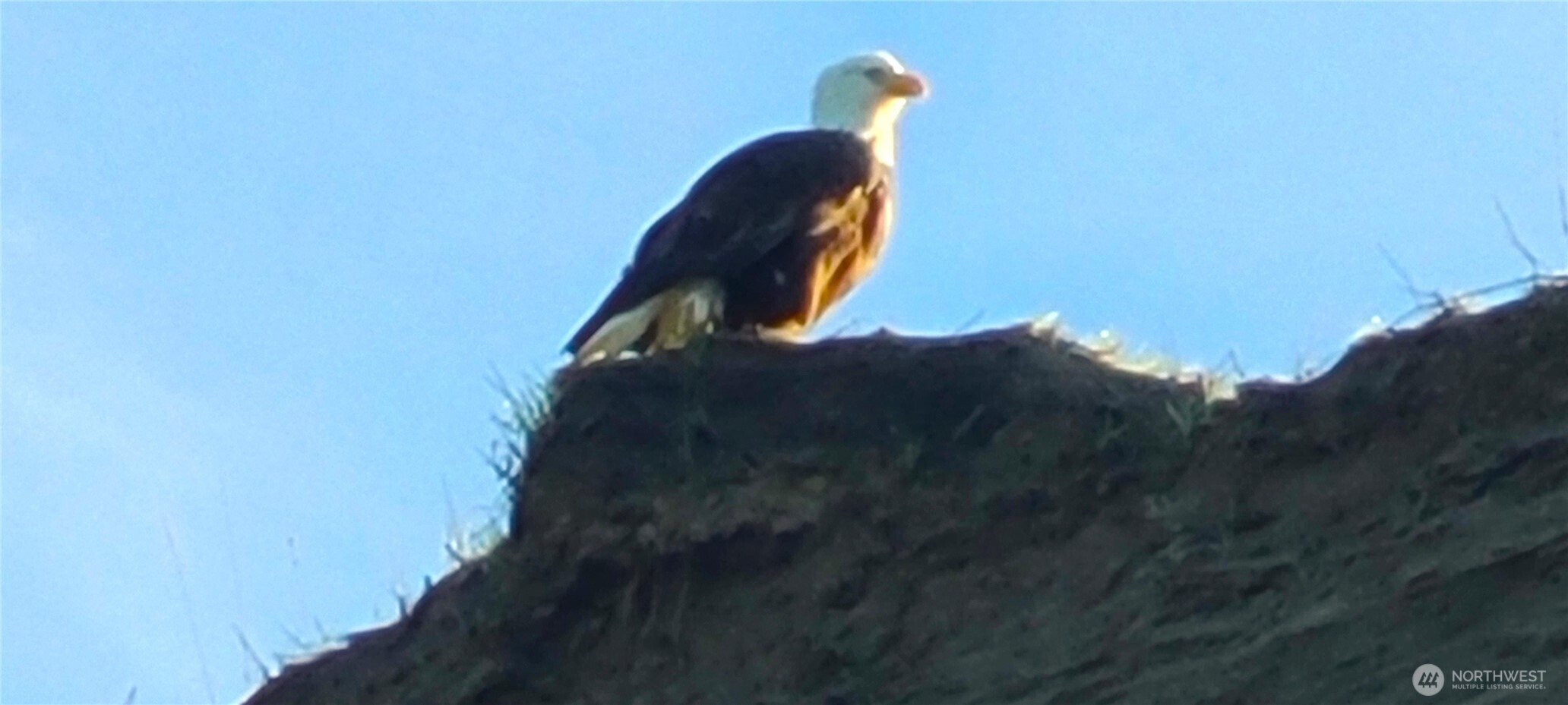 804 Cameron Road , Sequim, WA 98382