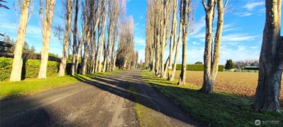 804 Cameron Road , Sequim, WA 98382 - Photo 24