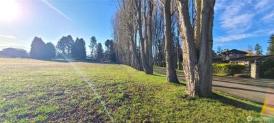804 Cameron Road , Sequim, WA 98382 - Photo 8