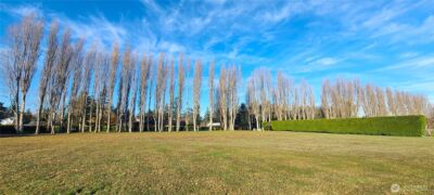 804 Cameron Road , Sequim, WA 98382 - Photo 9