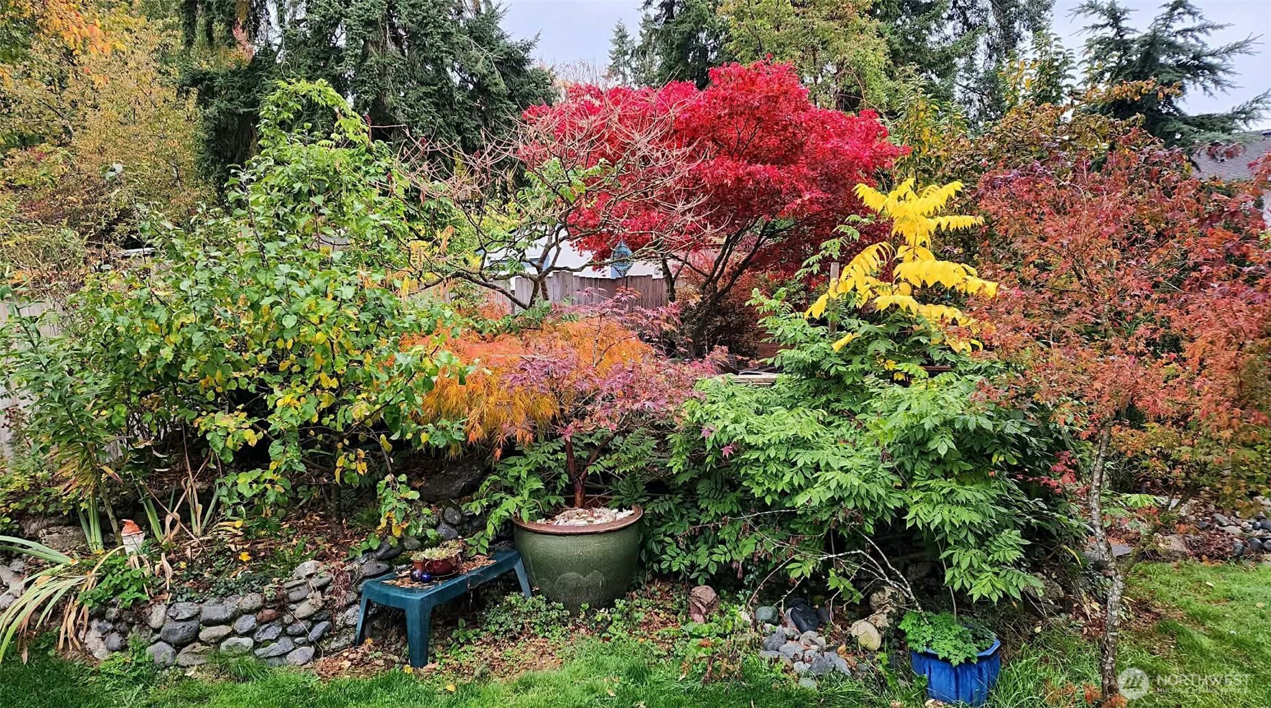 14056 23rd Place NE, Seattle, WA 98125