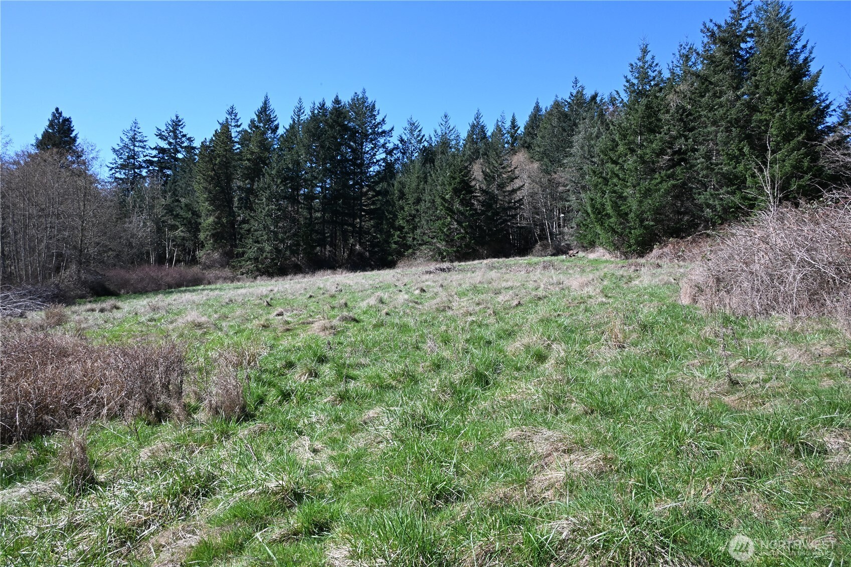 1111 Sandwith Road , Friday Harbor, WA 98250