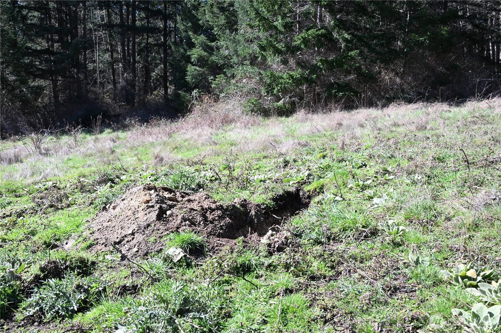 1111 Sandwith Road , Friday Harbor, WA 98250