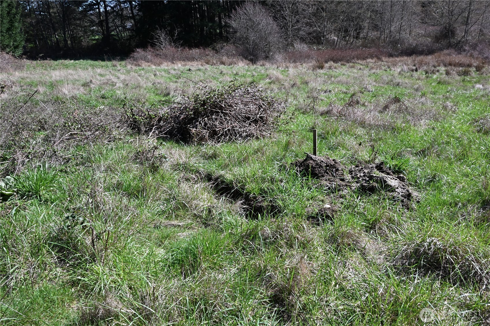 1111 Sandwith Road , Friday Harbor, WA 98250