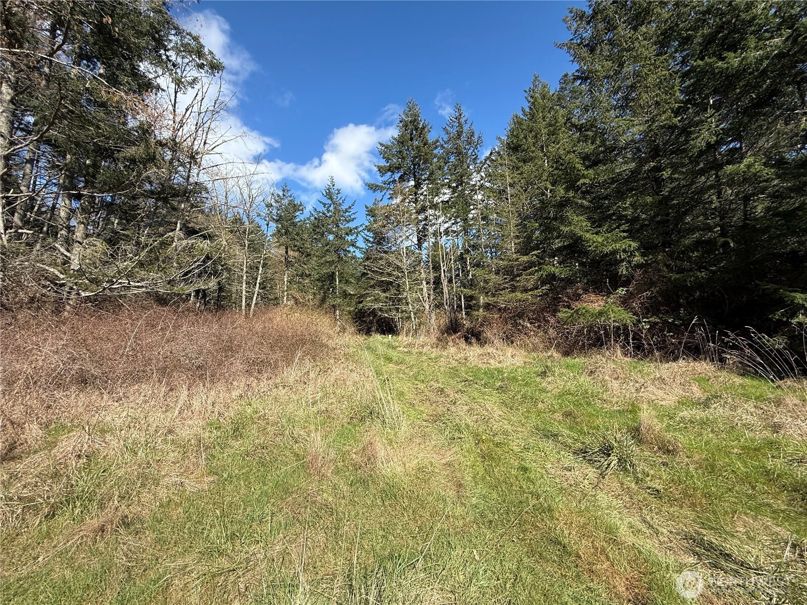 1111 Sandwith Road , Friday Harbor, WA 98250