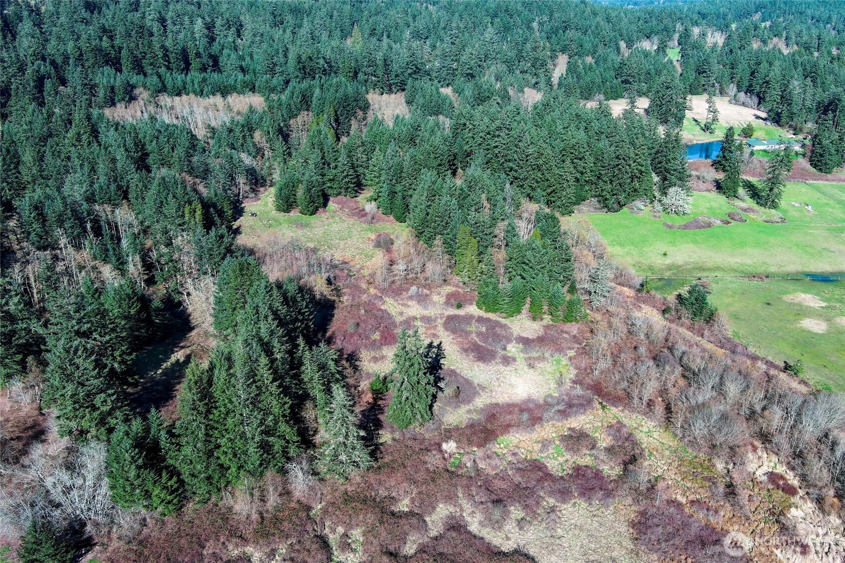 1111 Sandwith Road , Friday Harbor, WA 98250