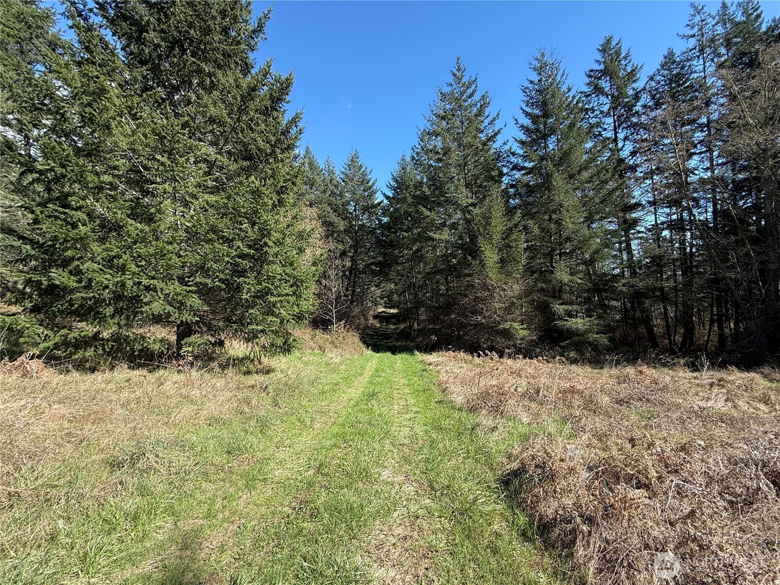 1111 Sandwith Road , Friday Harbor, WA 98250