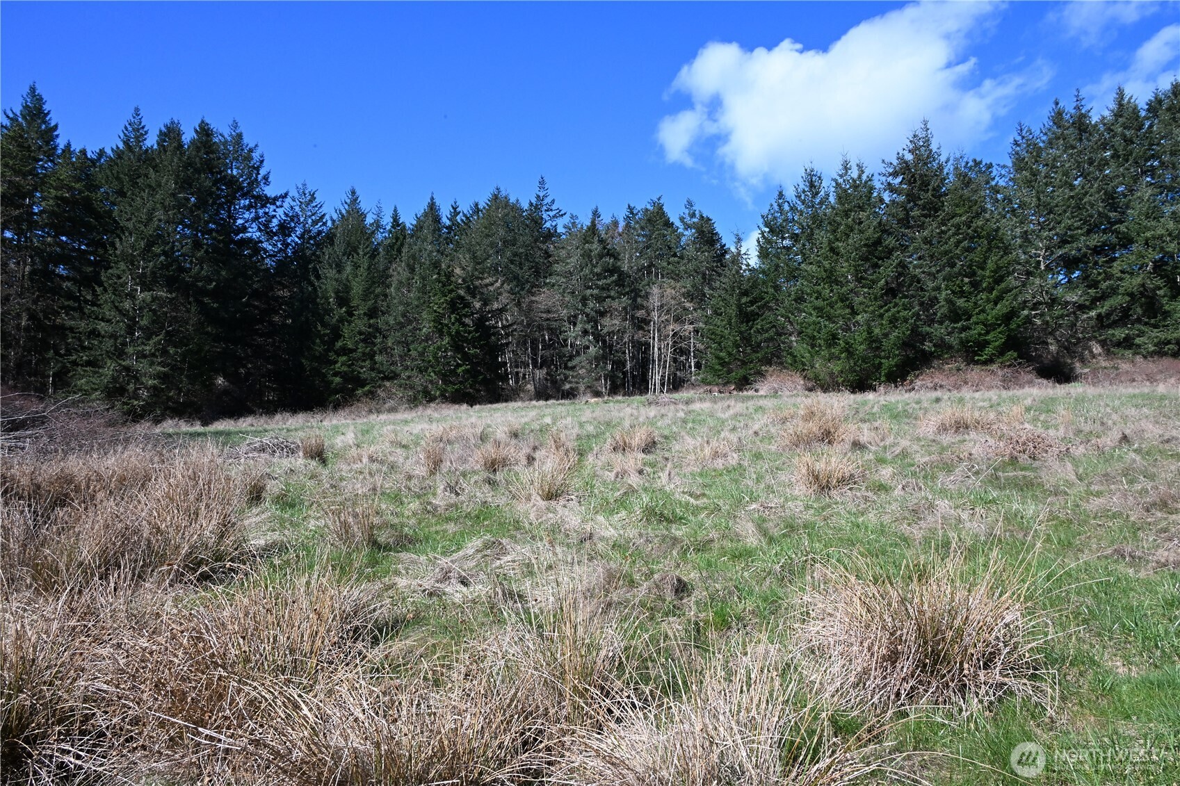 1111 Sandwith Road , Friday Harbor, WA 98250