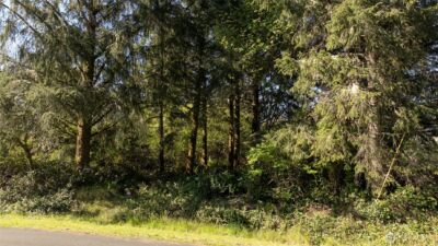 893 Albion Avenue SE, Ocean Shores, WA 98569 - Photo 2