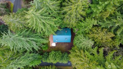 13008 Welcome Road , Deming, WA 98244 - Photo 3