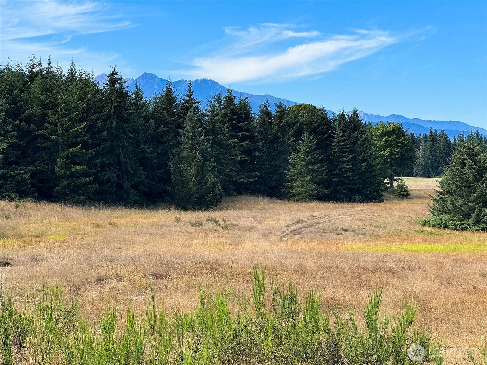 9999 Olympian Way #9, Port Angeles, WA 98362