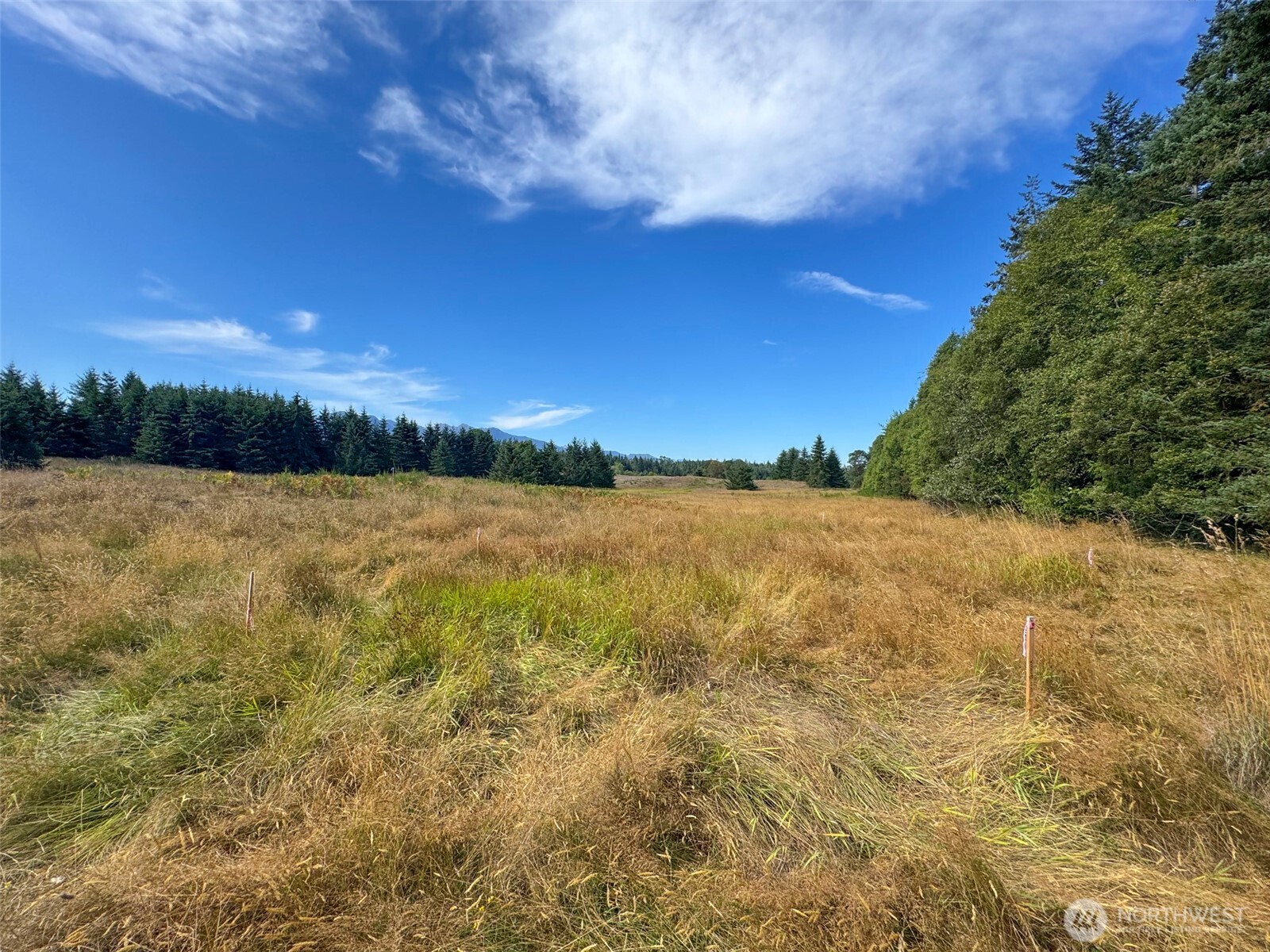 9999 Olympian Way #9, Port Angeles, WA 98362