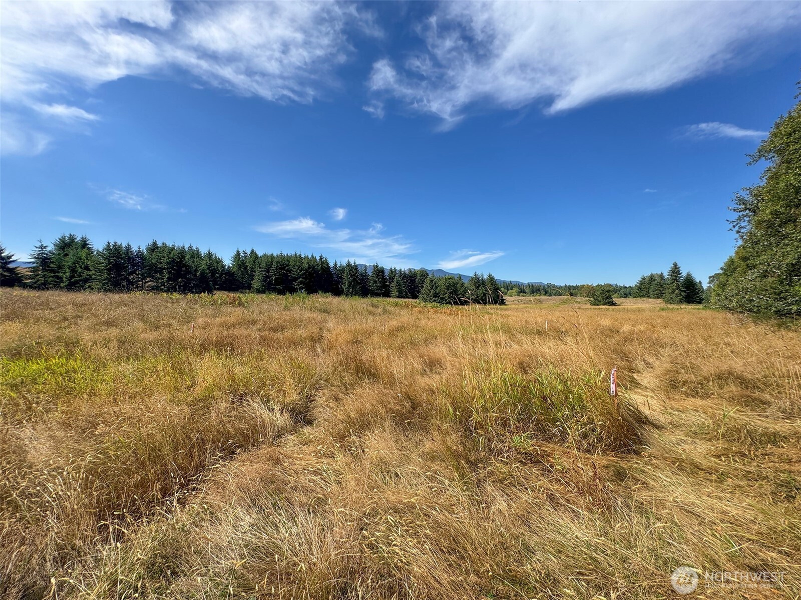 9999 Olympian Way #9, Port Angeles, WA 98362