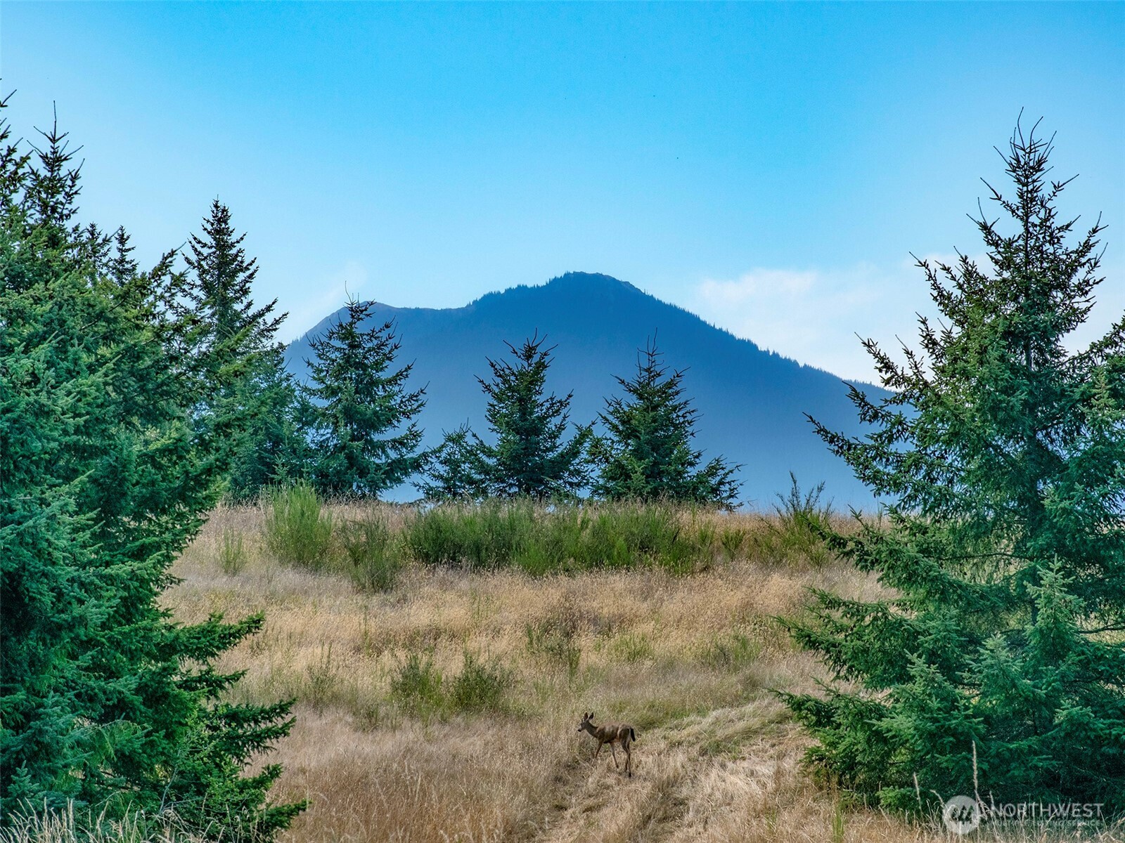 9999 Olympian Way #9, Port Angeles, WA 98362