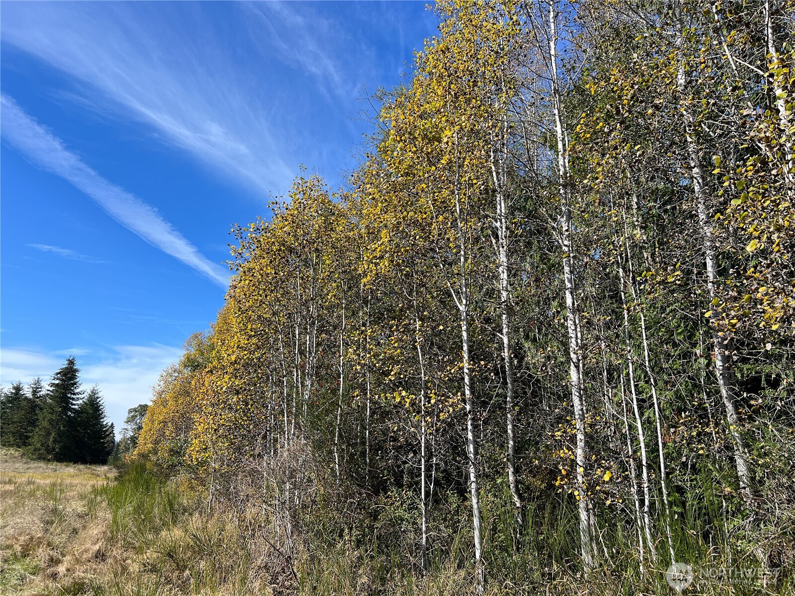 9999 Olympian Way #9, Port Angeles, WA 98362