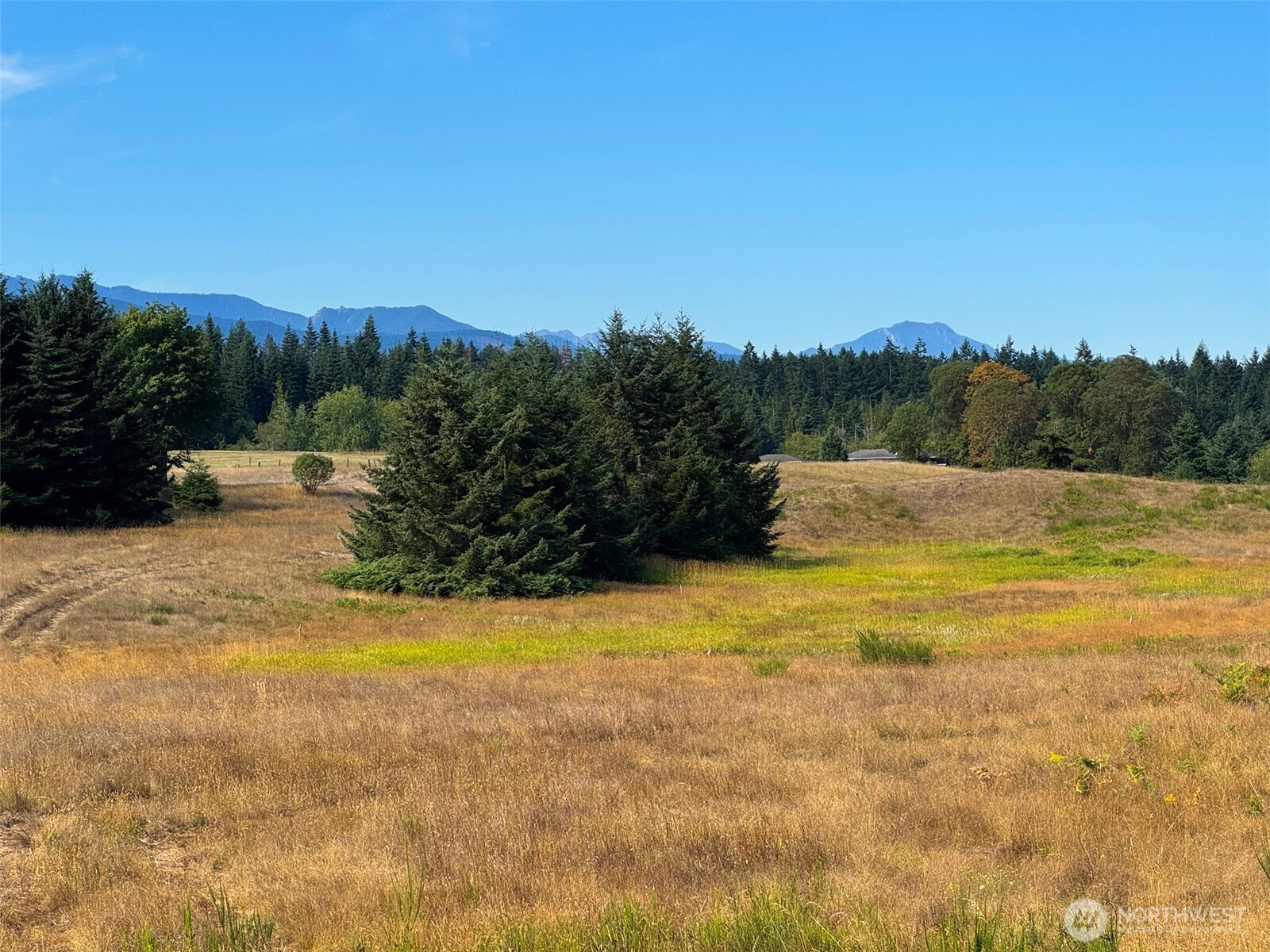 9999 Olympian Way #9, Port Angeles, WA 98362