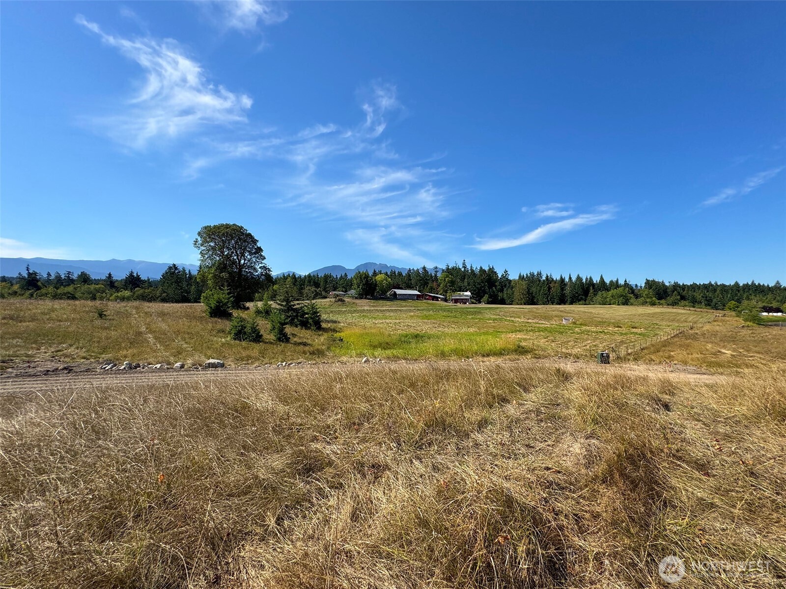 9999 Olympic Meadows Parcel 10 , Port Angeles, WA 98362