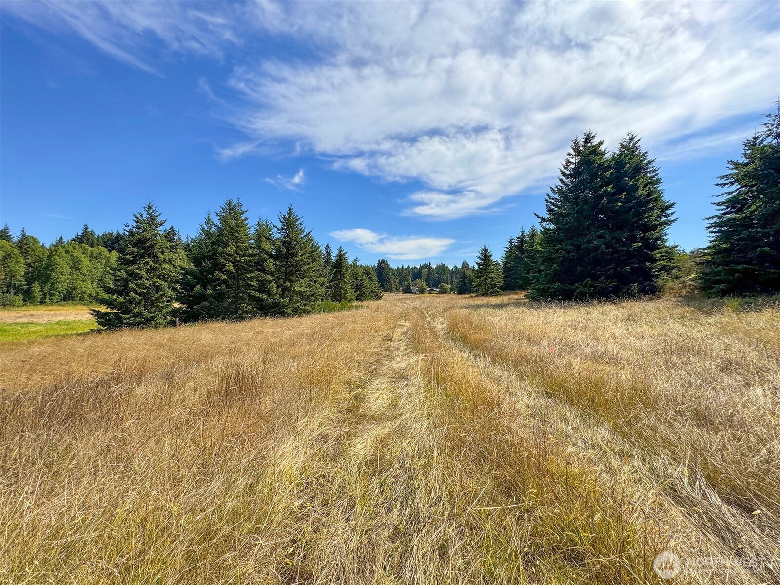 9999 Olympic Meadows Parcel 10 , Port Angeles, WA 98362