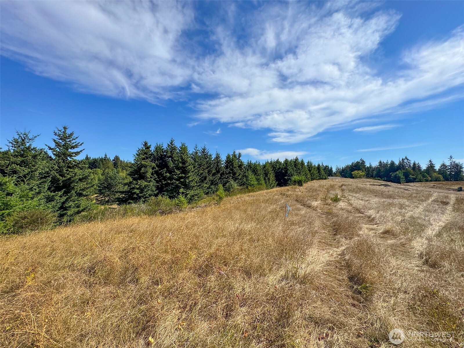 9999 Olympic Meadows Parcel 10 , Port Angeles, WA 98362