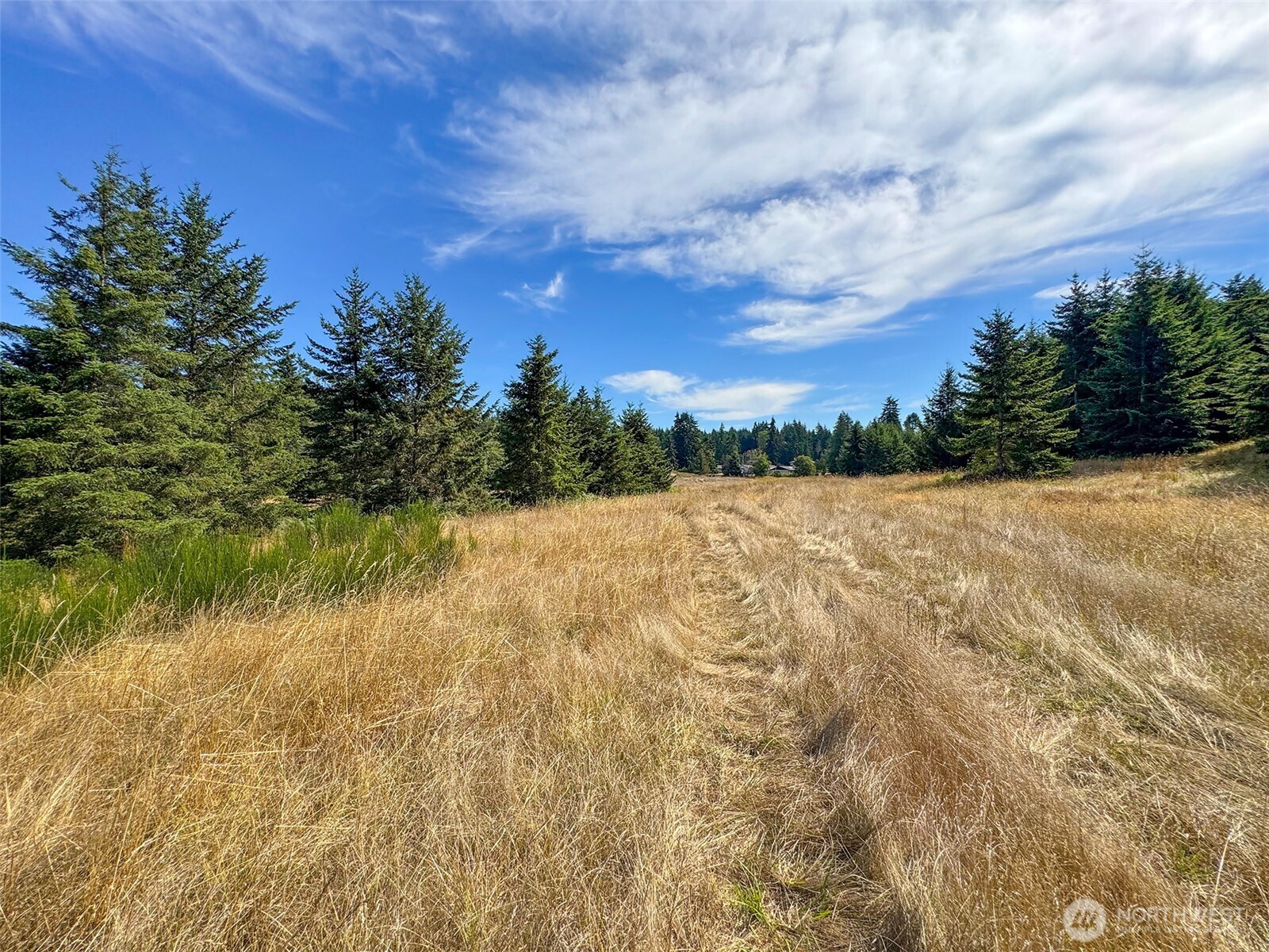 9999 Olympic Meadows Parcel 10 , Port Angeles, WA 98362