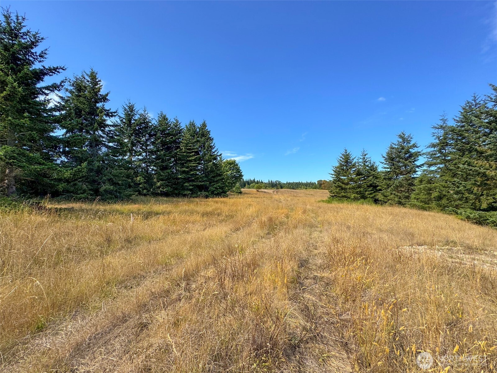 9999 Olympic Meadows Parcel 10 , Port Angeles, WA 98362