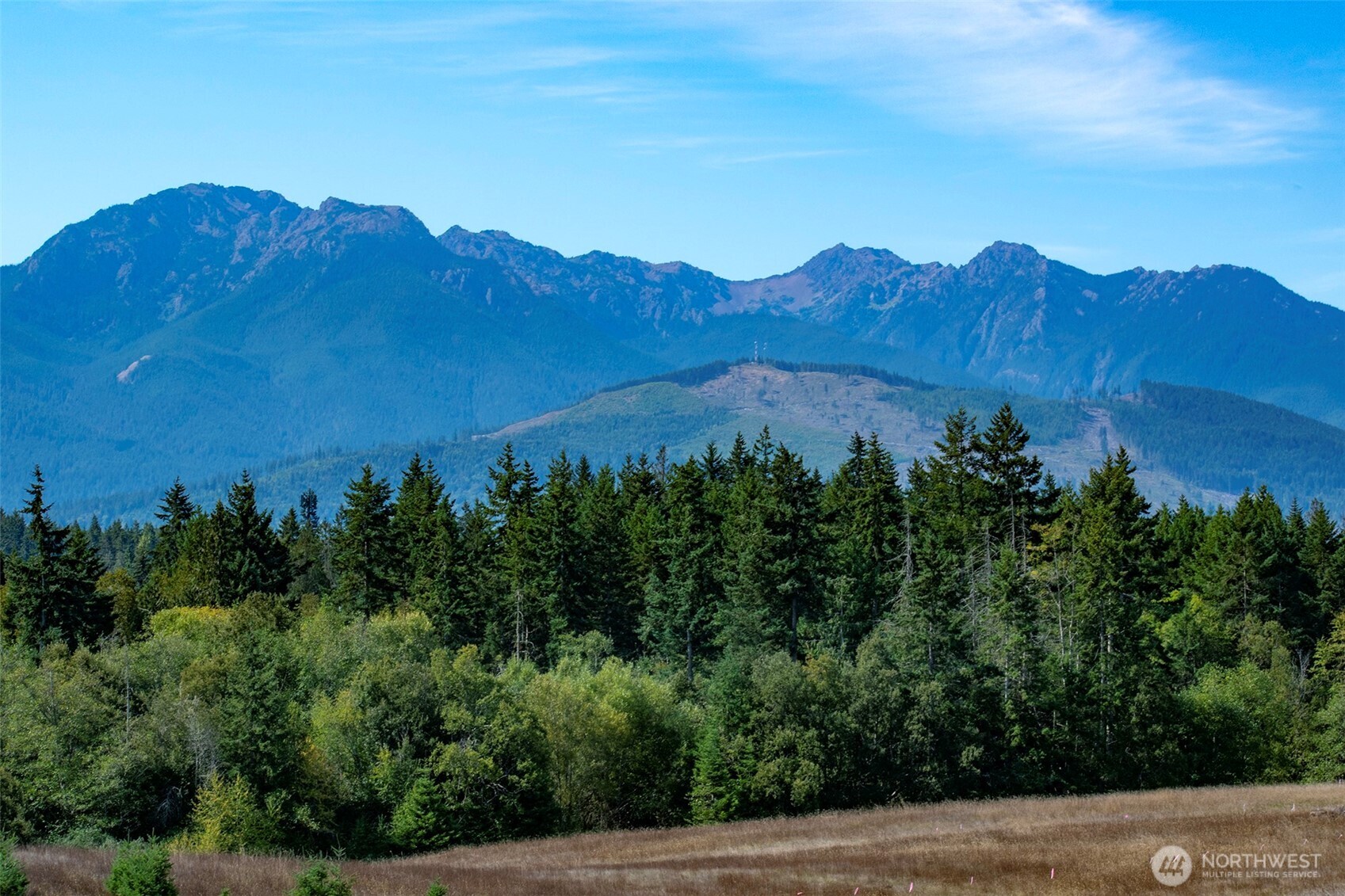 9999 Olympic Meadows Parcel 10 , Port Angeles, WA 98362