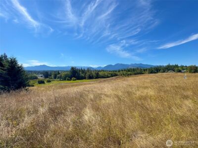 9999 Olympic Meadows, Parcel 11 , Port Angeles, WA 98362