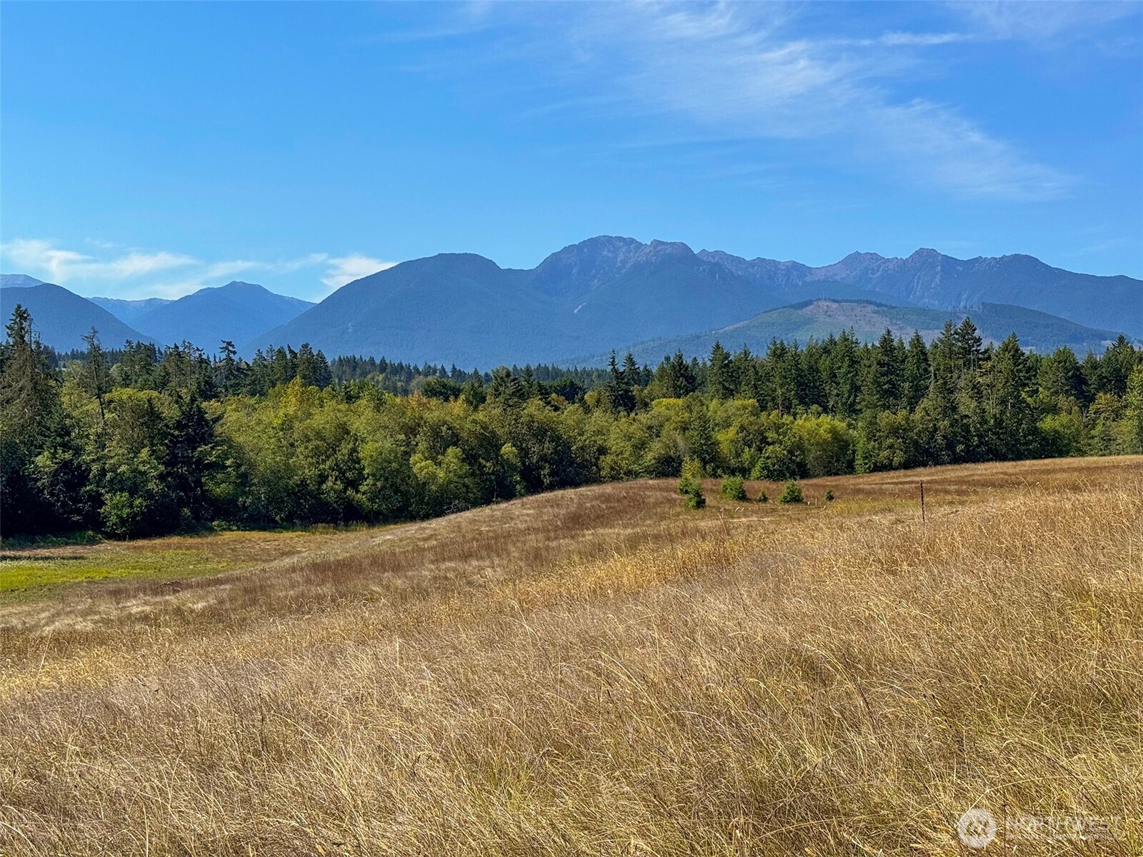 9999 Olympic Meadows, Parcel 11 , Port Angeles, WA 98362