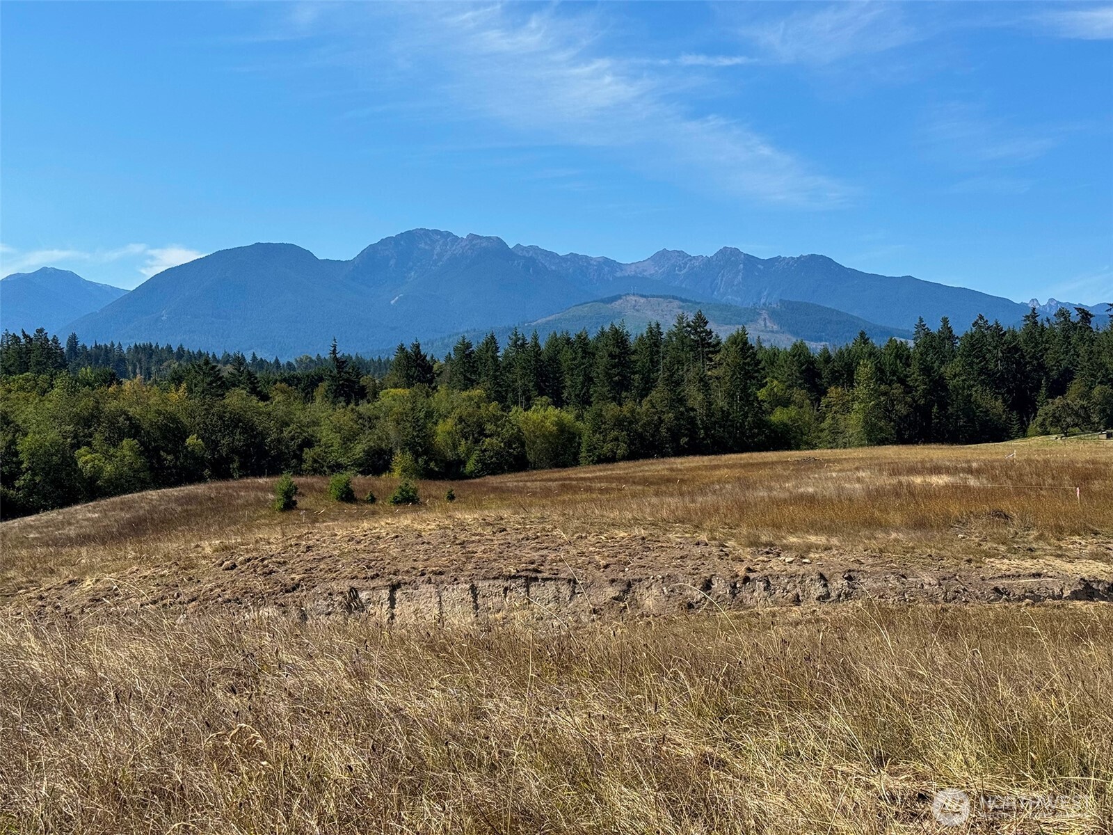 9999 Olympic Meadows, Parcel 11 , Port Angeles, WA 98362