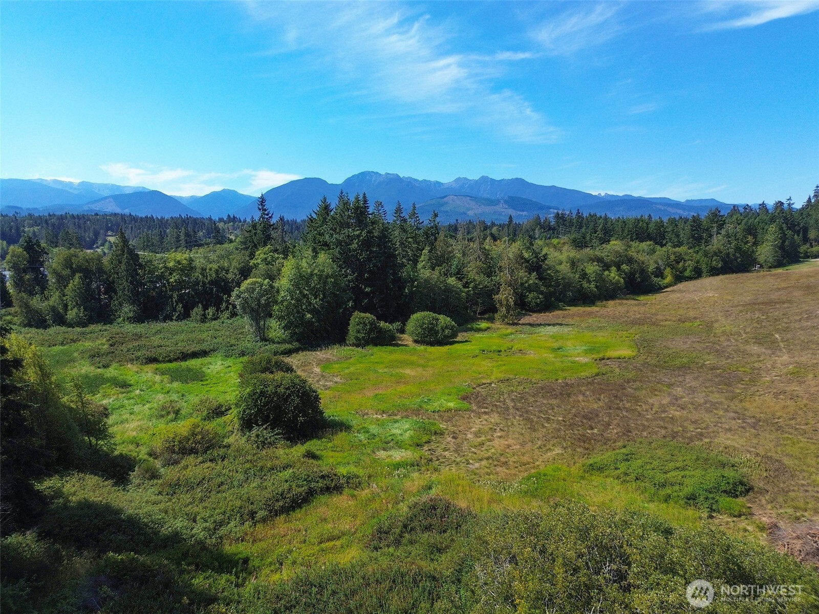 9999 Olympic Meadows, Parcel 11 , Port Angeles, WA 98362
