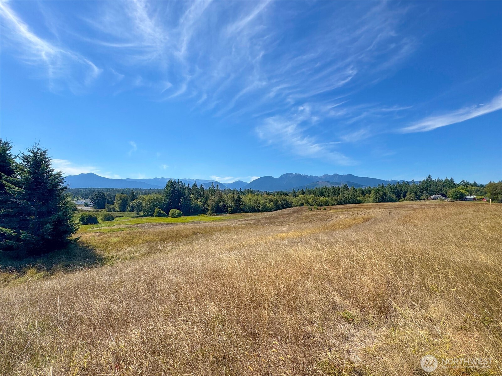 9999 Olympic Meadows, Parcel 11 , Port Angeles, WA 98362