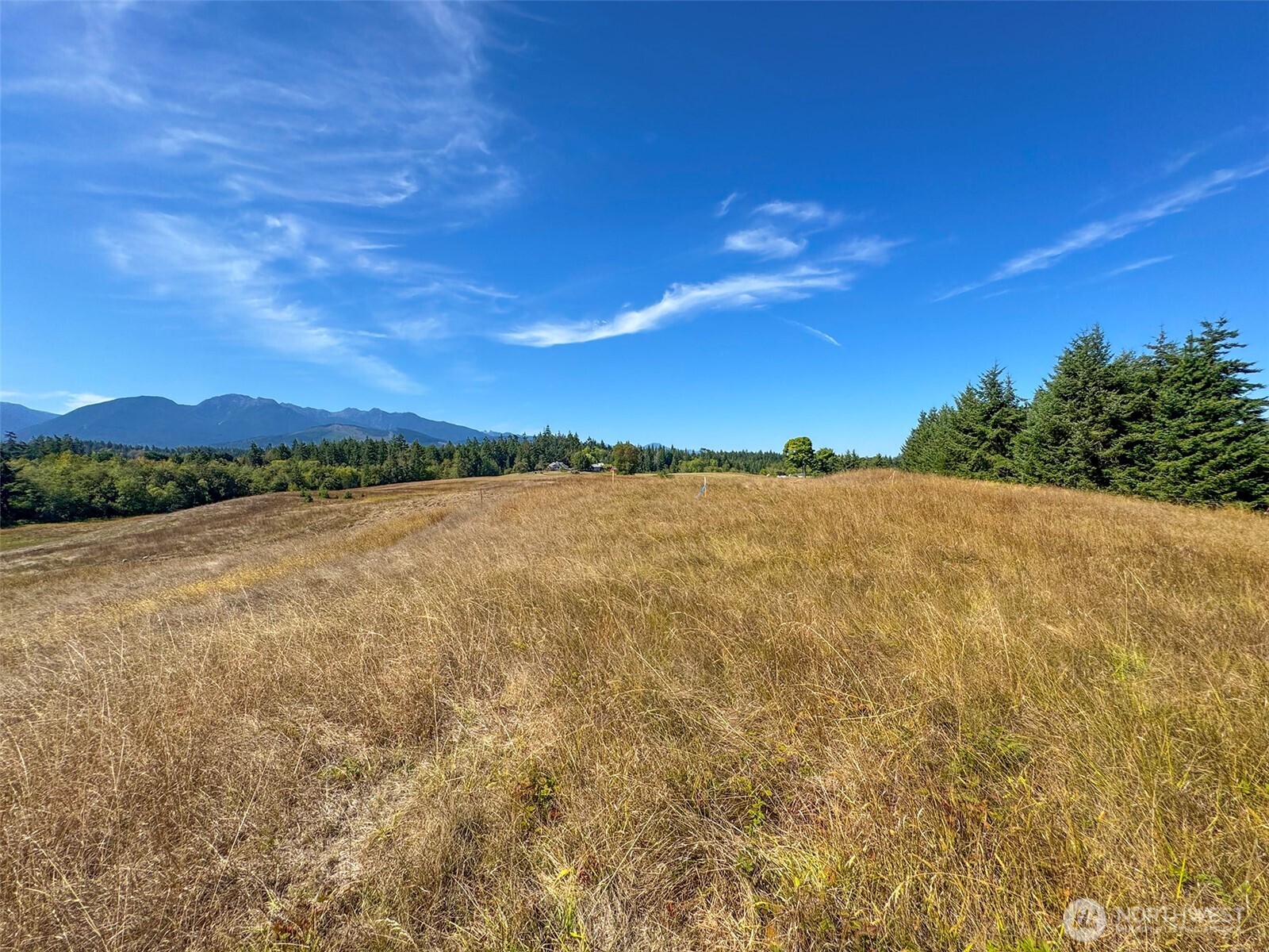 9999 Olympic Meadows, Parcel 11 , Port Angeles, WA 98362