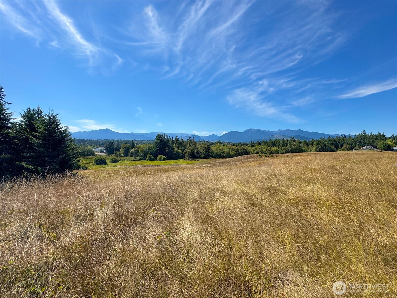 9999 Olympic Meadows, Parcel 11 , Port Angeles, WA 98362