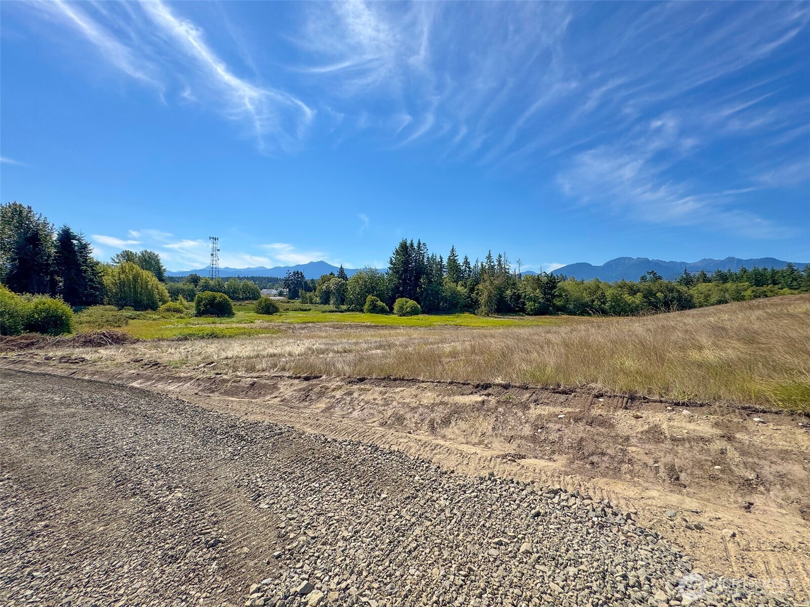 9999 Olympic Meadows, Parcel 11 , Port Angeles, WA 98362