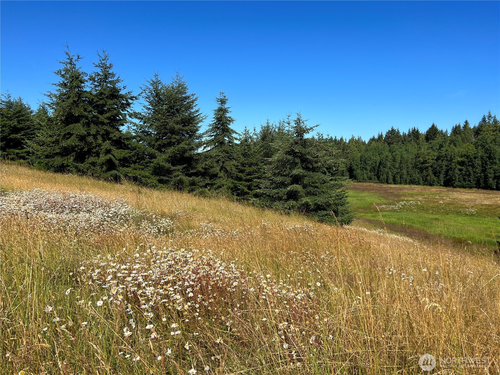 9999 Olympic Meadows, Parcel 11 , Port Angeles, WA 98362