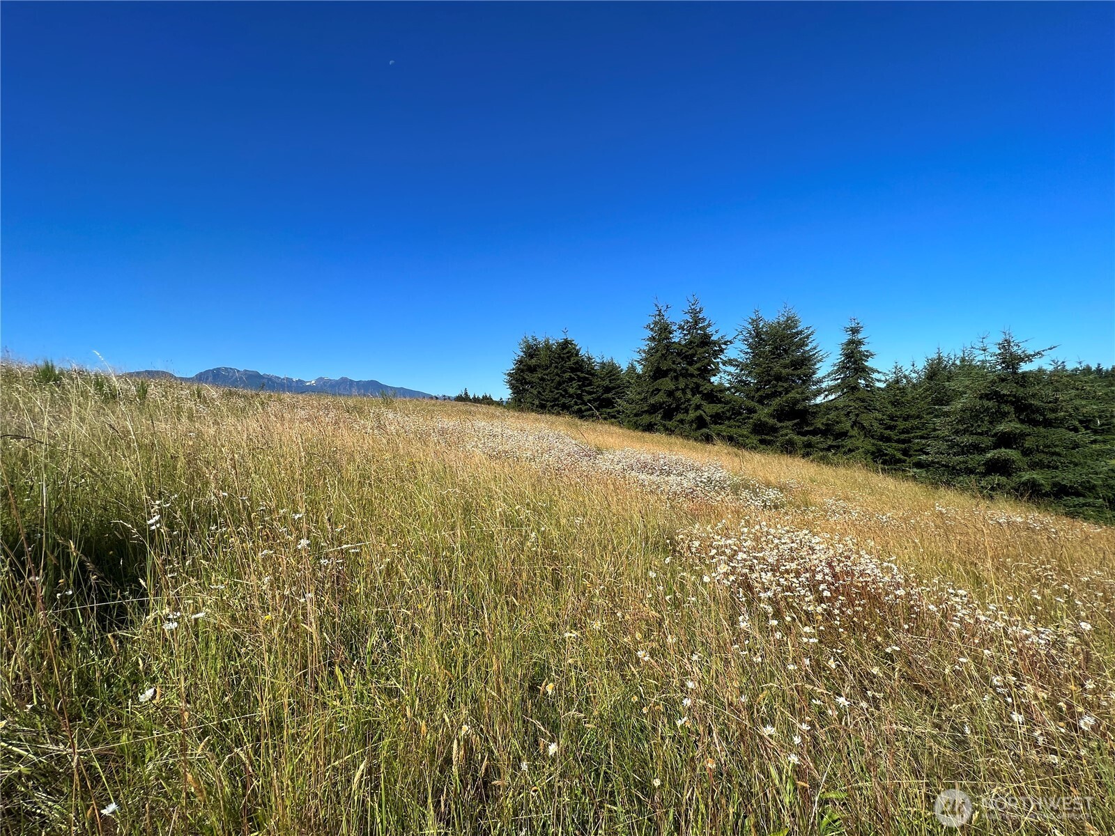 9999 Olympic Meadows, Parcel 11 , Port Angeles, WA 98362