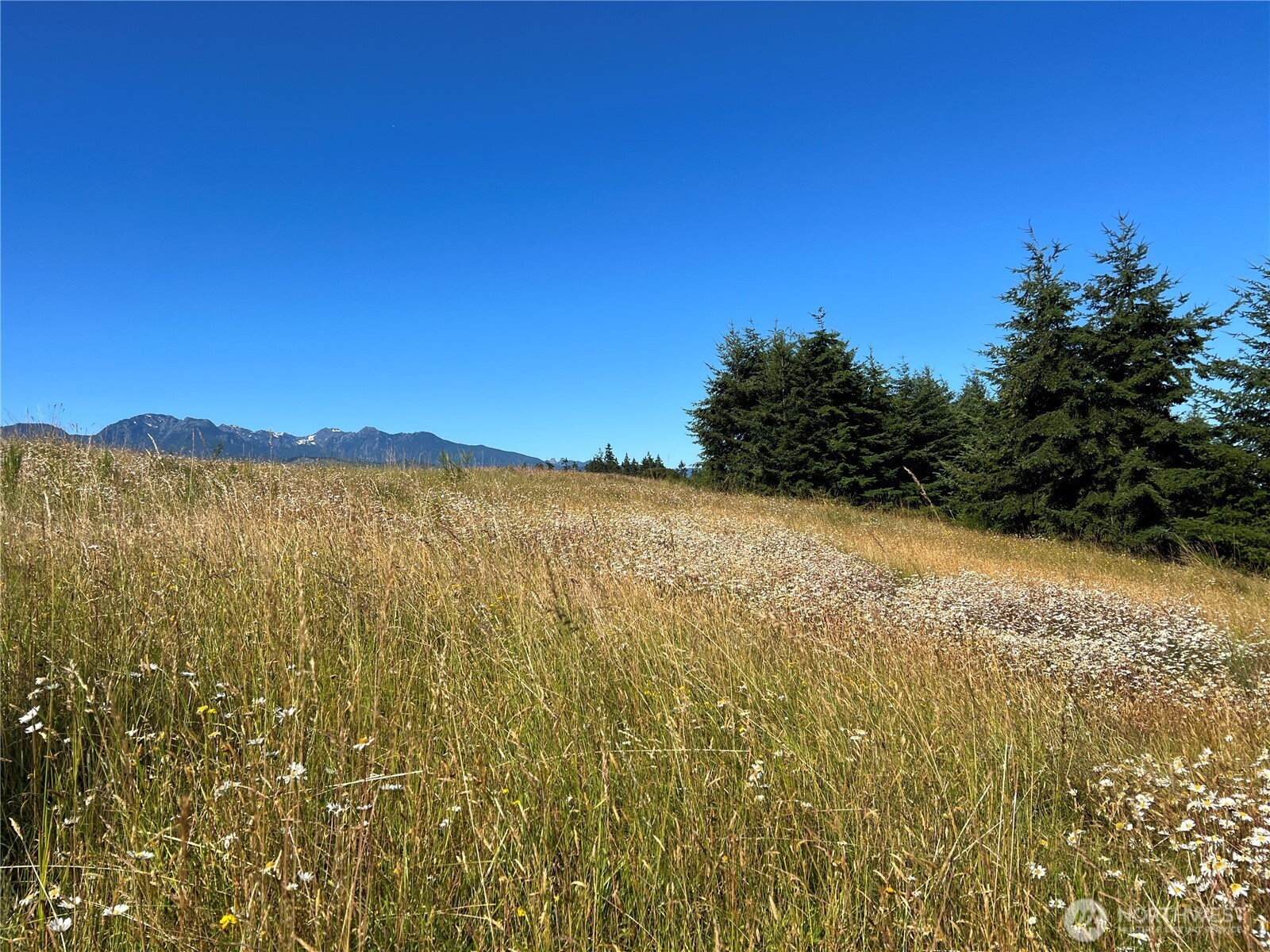 9999 Olympic Meadows, Parcel 11 , Port Angeles, WA 98362