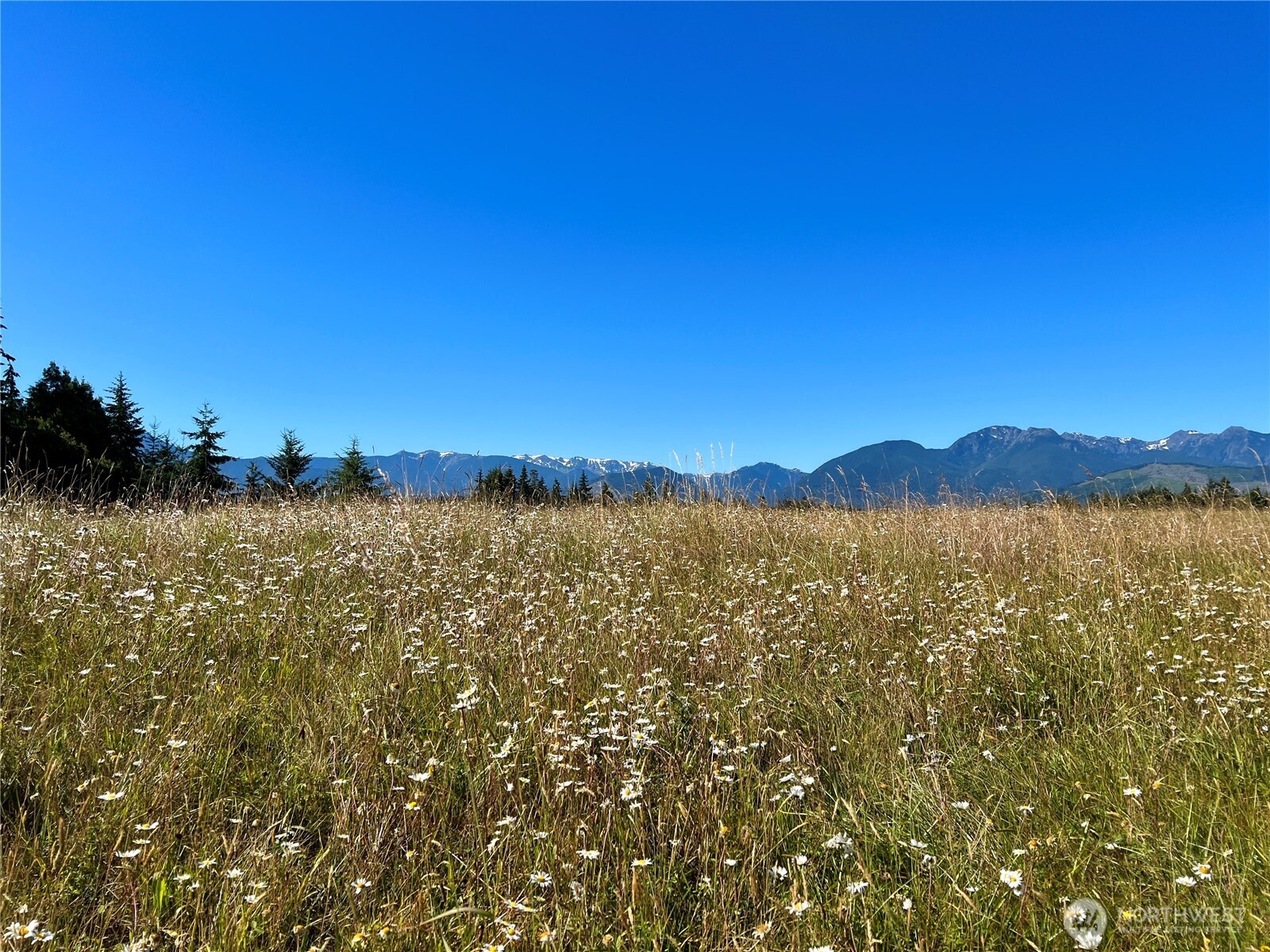 9999 Olympic Meadows, Parcel 11 , Port Angeles, WA 98362