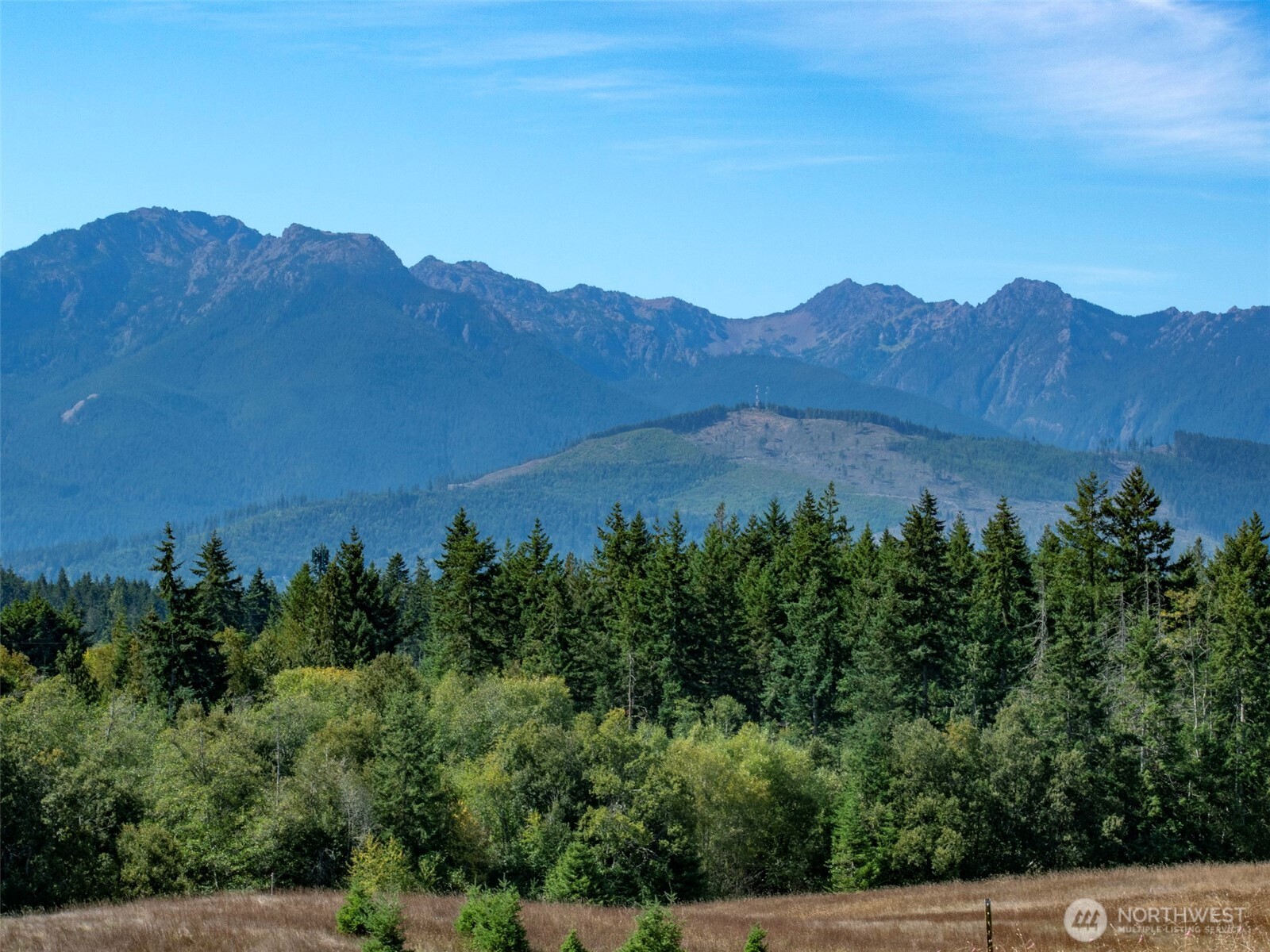 9999 Olympic Meadows, Parcel 11 , Port Angeles, WA 98362