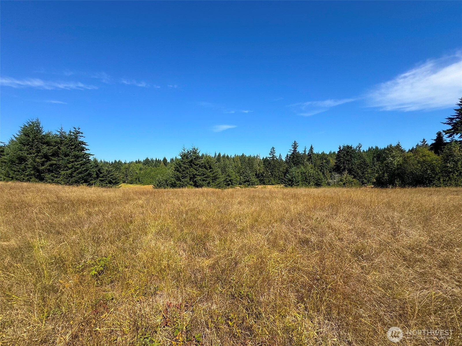 9999 Olympic Meadows, Parcel 11 , Port Angeles, WA 98362