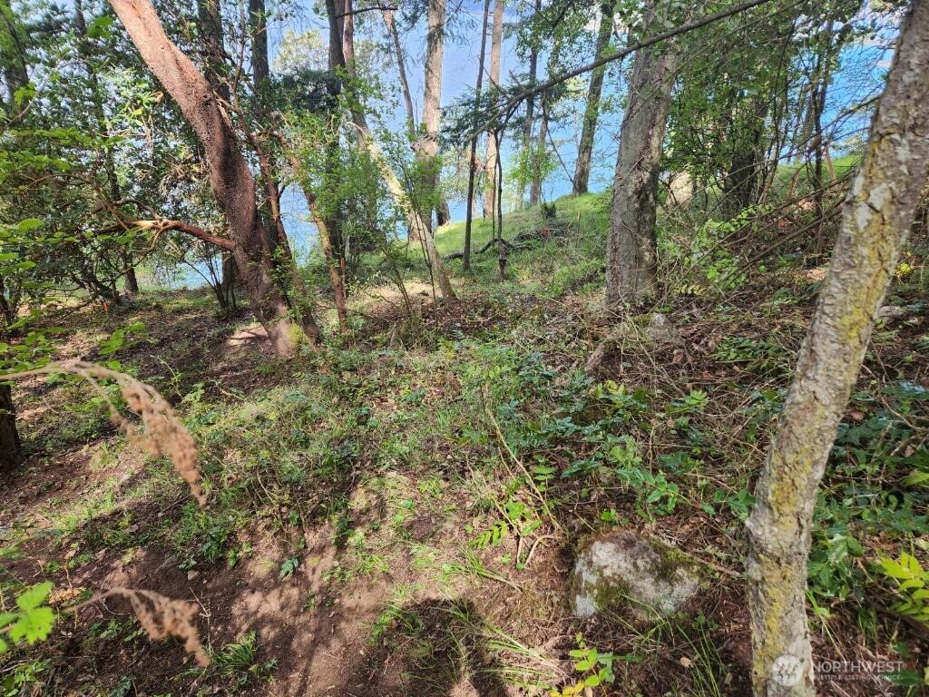 0 Fern Place , Friday Harbor, WA 98250