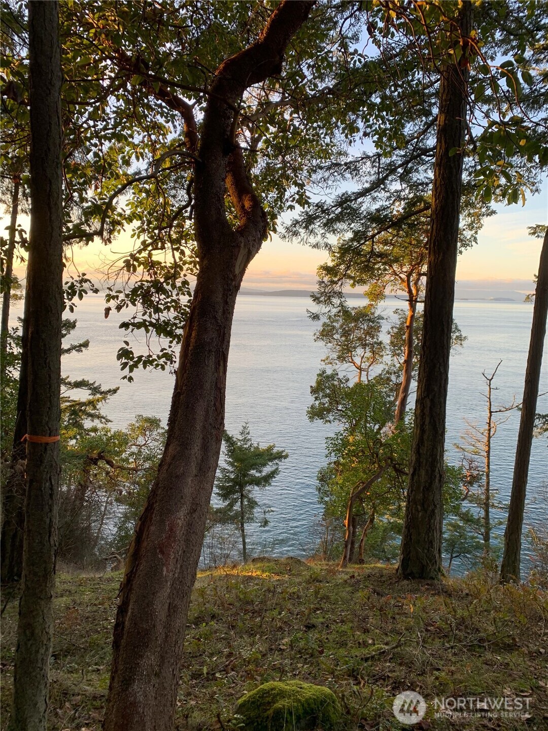 0 Fern Place , Friday Harbor, WA 98250