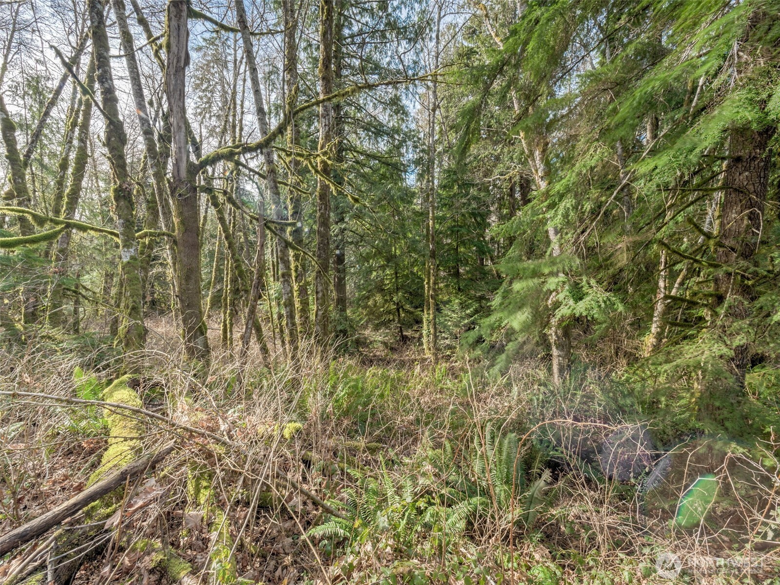 0 W Belfair Valley Road , Bremerton, WA 98312