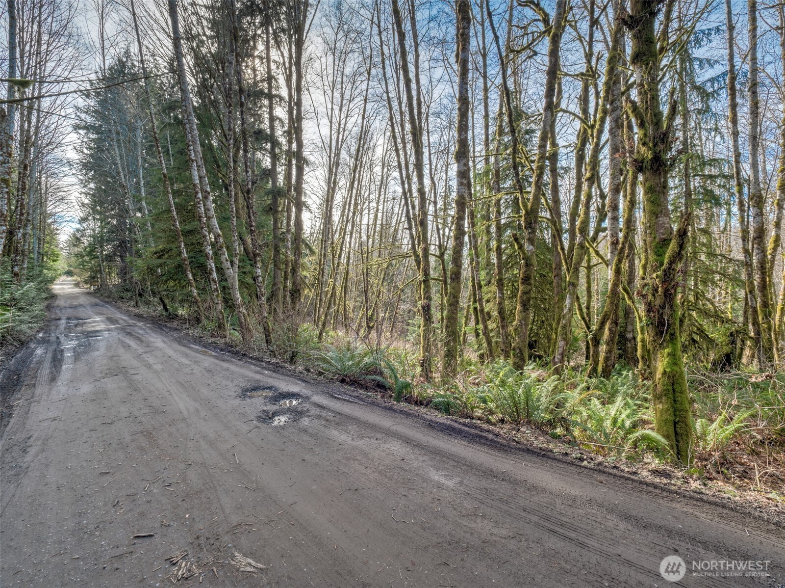 0 W Belfair Valley Road , Bremerton, WA 98312