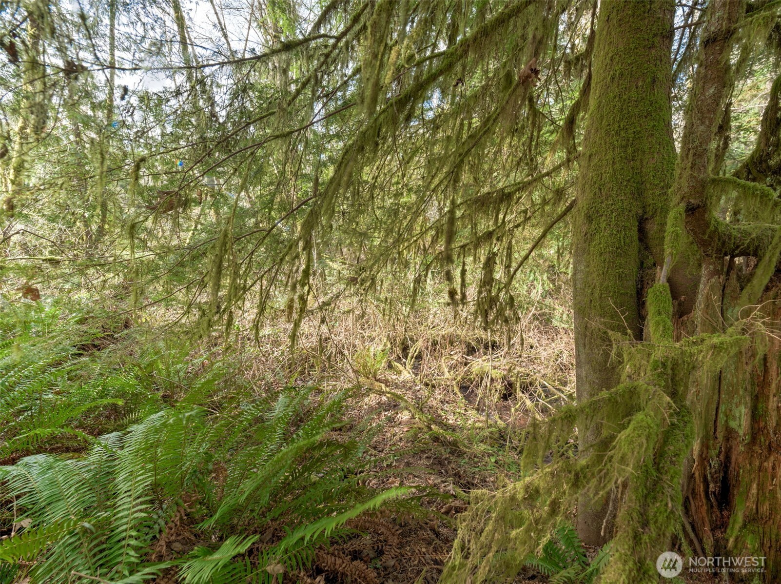 0 W Belfair Valley Road , Bremerton, WA 98312