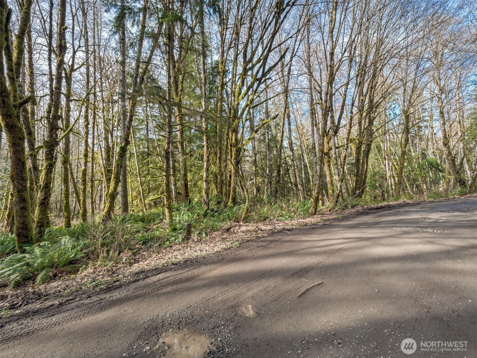 0 W Belfair Valley Road , Bremerton, WA 98312