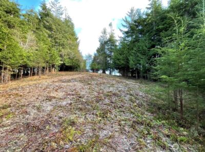 29 Spruce Court , South Bend, WA 98586