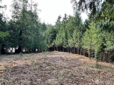 29 Spruce Court , South Bend, WA 98586 - Photo 2