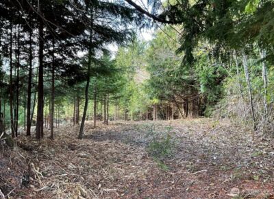 29 Spruce Court , South Bend, WA 98586 - Photo 3