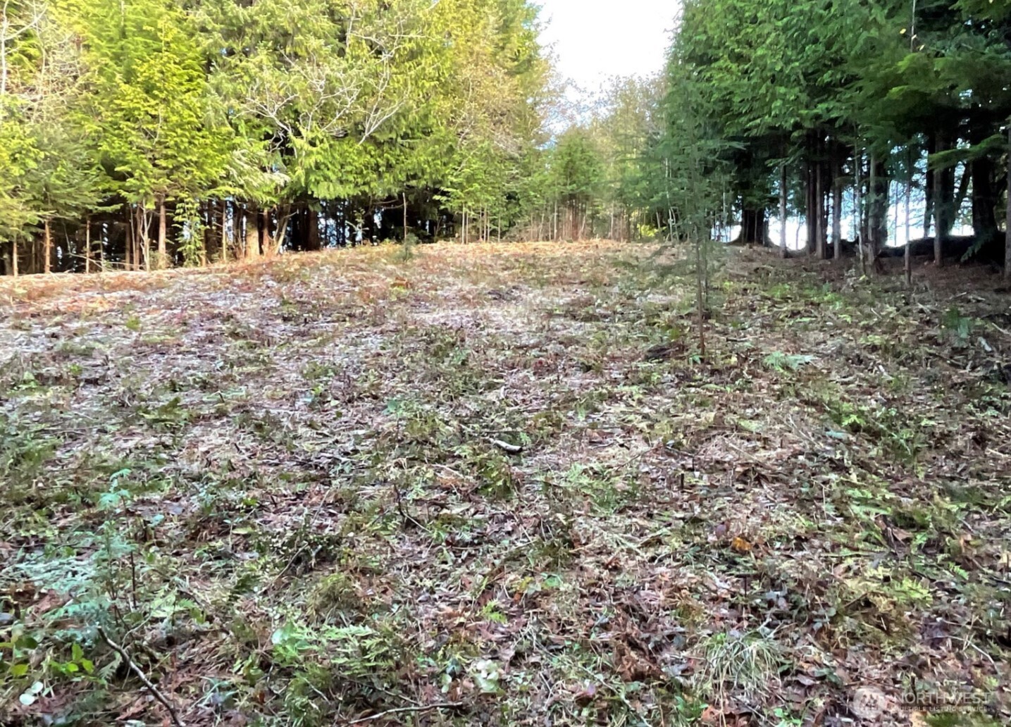 29 Spruce Court , South Bend, WA 98586